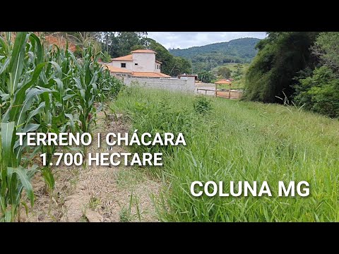 TERRENO | CHÁCARA À VENDA 1,7 HECTARE , ZONA RURAL JÁCOME, COLUNA MG, COM ÁGUA AO FUNDO 