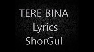 Tere bina Arijit singh&#39;s songs lyrics..shorgul movie