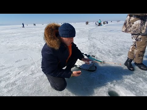 Фото МНОГО РЫБЫ, ВЛАДИВОСТОК, МОРЕ РЫБАЛКА, АВТОРЫНОК ОТДЫХАЕТ, ИВАН КИЛИН