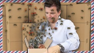 SOMEONE SENT ME BUGS IN THE MAIL [Fan Mail Unboxing] | Butch Hartman