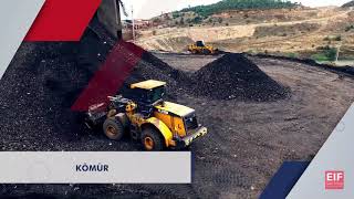 EIF Enerji Kongresi MILLI ENERJI
