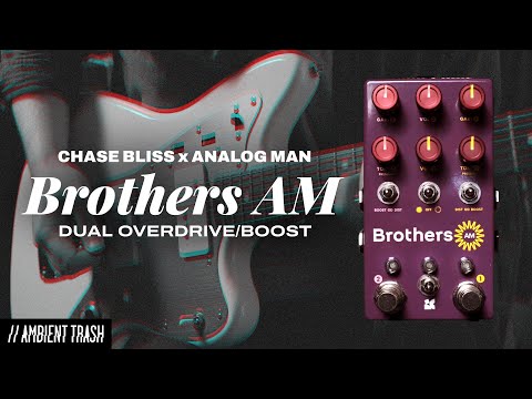 Chase Bliss Audio Brothers AM 2025 - Present Various image 8