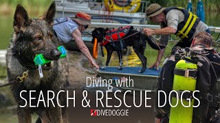 Scuba Diving with Search & Rescue Dogs