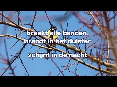 OPwekking 867 Ik spreek Jezus