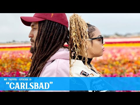 Going to VIRAL Restaurant and Cooking Steak! | Carlsbad, California  #WeTrippin