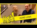 HEA! Het luizenleven van hond Lana