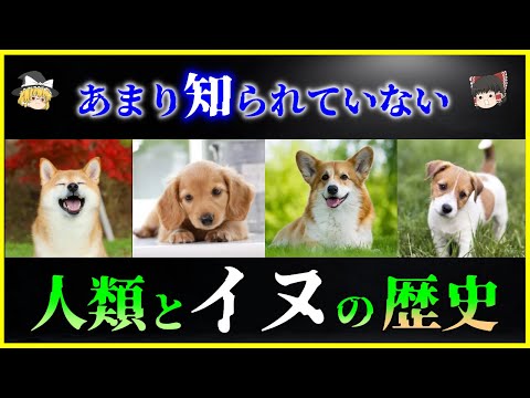 イヌについて詳しく解説