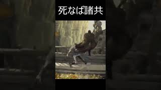 誰もいなくなったゾ～イ #エルデンリング #珍プレイ #eldenring