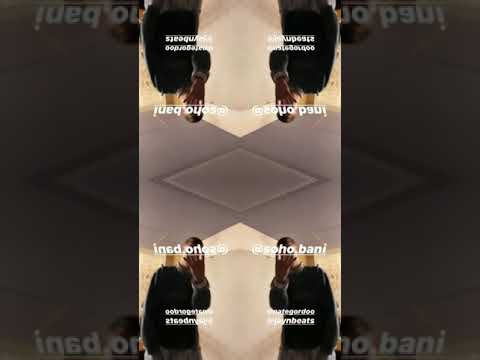 Kasimir1441 x $oho Bani Hörprobe