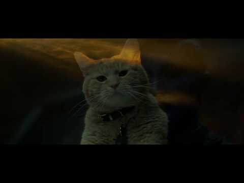 Captain Marvel - Funny scanning scene - Samuel L. Jackson