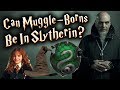 Harry Potter Theory: Can Muggle-Born's Be In Slytherin?