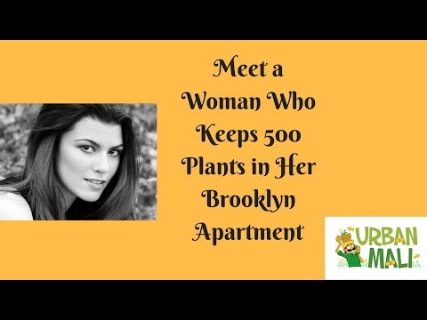 Meet a Woman Who Keeps 500 Plants in Her Brooklyn Apartment