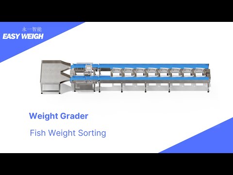 Dual-Lane Weight Grader Revolutionizes Fish Sorting!