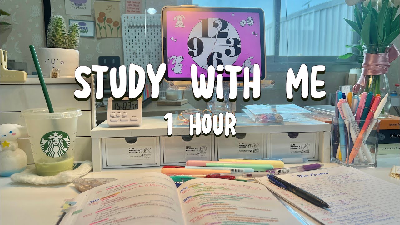 🎸เพลงอ่านหนังสือ|STUDY WITH ME |music🎵