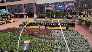 So Many New Plants at Lowes! Planting Tons of Colorful Plants || Saturday Vlog
