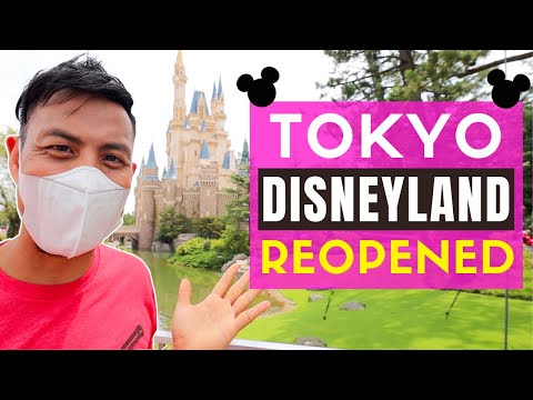 重開後的東京迪斯尼樂園 (Tokyo Disneyland after Reopening)