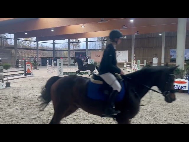 Alisja, jument très pratique !