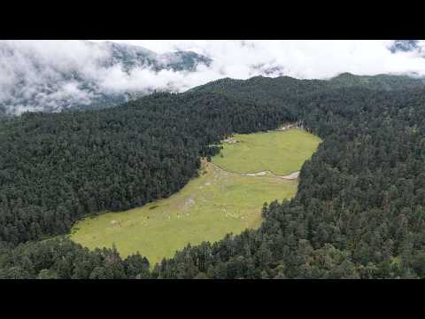 Live: A tranquil gaze at Spruce Meadow on Yulong Snow Mountain