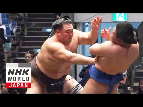 GRAND SUMO: Day 12 of the January 2026 Tournament - GRAND SUMO Highlights