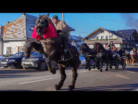 Eastern Europe Lifestyle: Moldovita Horse Parade 2025 Biggest Traditional Celebration