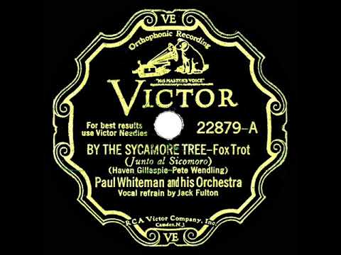 1931 Paul Whiteman - By The Sycamore Tree (Jack Fulton, vocal)