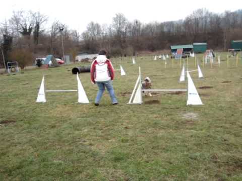 24.1.2010 365.Lynn.mpg