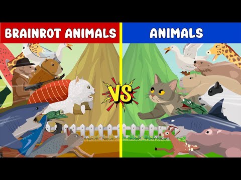 Brainrot Monster Tournament | Brainrot Monster Animation