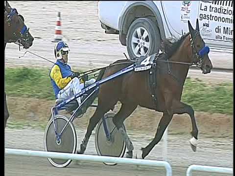 Trotto 15/04/2018 - 5ª corsa