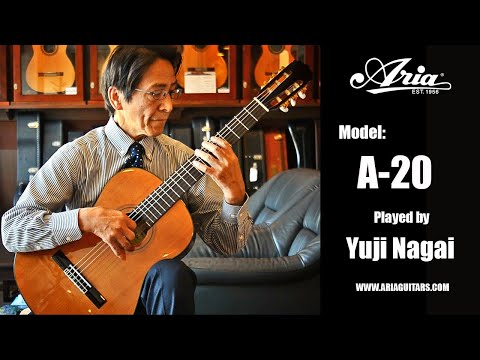 Классическая гитара Aria A-20 N
