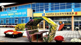 호남권역재활병원, \'타의 귀감\' 화순군 공직자 5명 감사패 수여