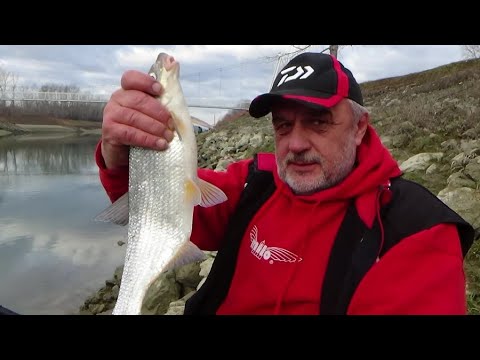 ZIMSKI RIBOLOV FEEDEROM NA KANALU DONJA DUBRAVA - Ninoslav Žagar