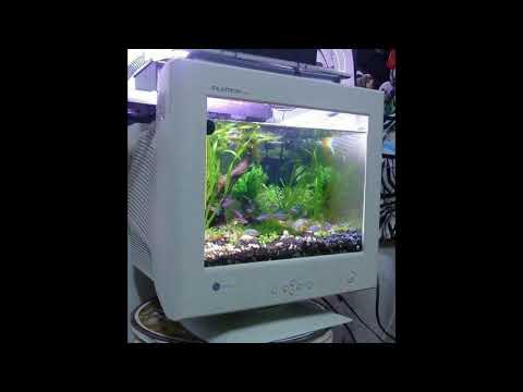 R&B x MAYOT x Tory Lanez x FEDUK x ENIQUE TYPE BEAT - "Move On" (prod. Grape Diamond)