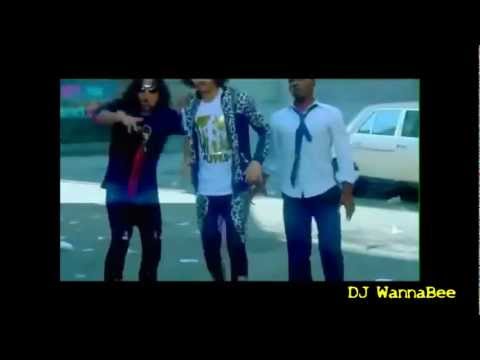 Mega Remix 2011- DJ Magic Baron Mashup (A DJ WannaBee Production)