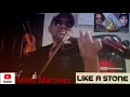 AUDIOSLAVE LIKE A STONE Violin Cover