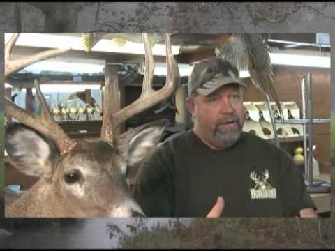 download lagu mp3 mp4 Taxidermy School, download lagu Taxidermy School gratis, unduh video klip Taxidermy School