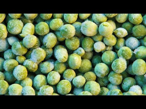 download lagu mp3 mp4 Freeze Dried Food Europe, download lagu Freeze Dried Food Europe gratis, unduh video klip Freeze Dried Food Europe