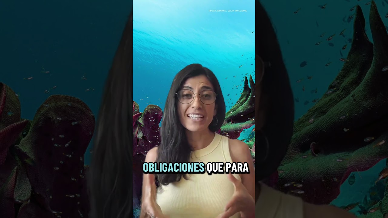 Finalmente tenemos un tratado para proteger #altamar...¿Y ahora? #TratadoAltaMar #news
