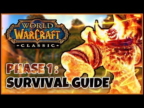 Classic WoW Phase 1 and Launch Survival Guide (Leveling, Professions, Raiding, etc.)