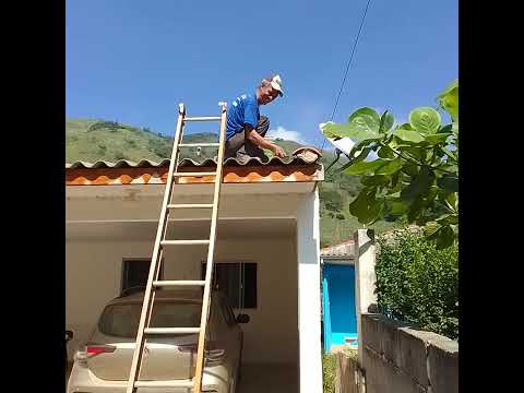 ameaçando as telhas  da casa do sítio no pinheirinho Adrianópolis Paraná