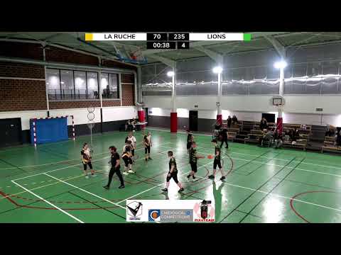 Match Championnat Poule B / La Ruche Vs Les Lions