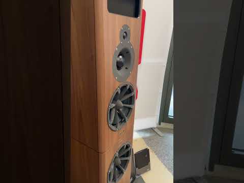 Audiophile stereo system #audiophiles #hiend #stereo #speaker #vinyl