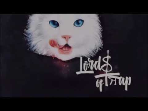 Carnage X GRAVEDGR - Hijueputa