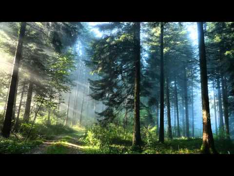 DJ Shog - I Finally Found (Aboutblank and KLC Remix)