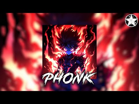 Brazilian Phonk Mix 2024 ※ Best Baile Funk ※ Tik Tok Viral Phonk Music Mix #325