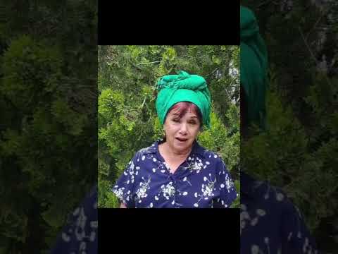 המלצת בוגרת פרקטיקום