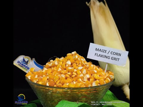 Yellow maize flaking grits
