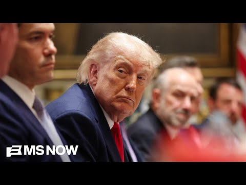 Trump orders ‘less shackled’ new spy chief to GUT intelligence agencies