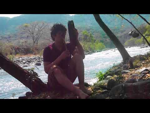 Tambor Chamanico un pequeño viaje.