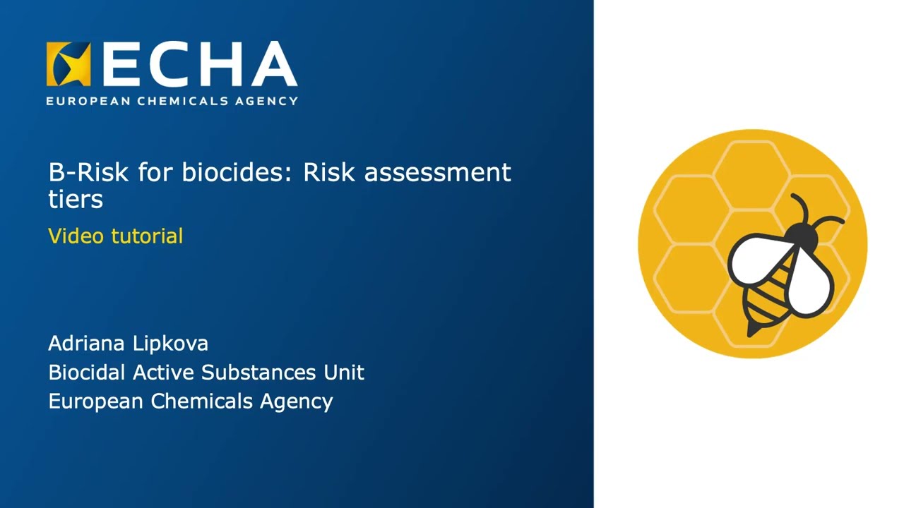 B-Risk for biocides Part 4: Risk assessment tiers