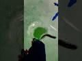 Video Thumbnail for Catch and Release fail!! #short #fishing #subscribe #shorts